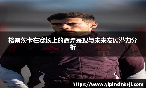 格雷茨卡在赛场上的辉煌表现与未来发展潜力分析