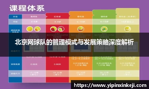 北京网球队的管理模式与发展策略深度解析