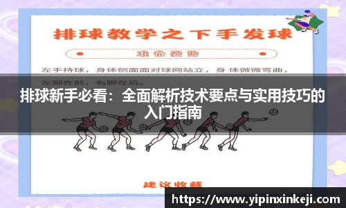 排球新手必看：全面解析技术要点与实用技巧的入门指南