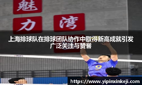 上海排球队在排球团队协作中取得新高成就引发广泛关注与赞誉