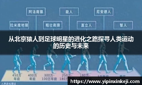 从北京猿人到足球明星的进化之路探寻人类运动的历史与未来